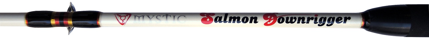 Спиннинг для даунриггера Salmon Downrigger  — купить по цене 4 828 руб. | BuMMart.ru
